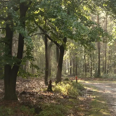 Spacious In Voorhuizen With Terrace 別荘 フォールトハイゼン