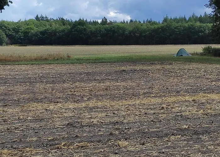 Spacious In Voorhuizen With Terrace بيت للعطل