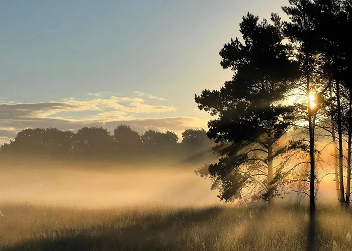 Spacious In Voorhuizen With Terrace