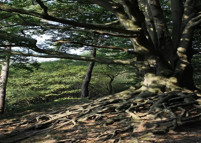 Spacious In Voorhuizen With Terrace * 福尔特赫伊曾