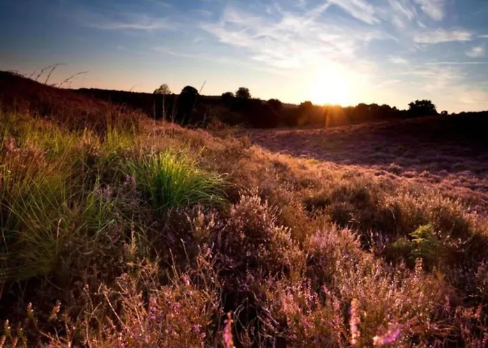 Spacious In Voorhuizen With Terrace 度假居 *