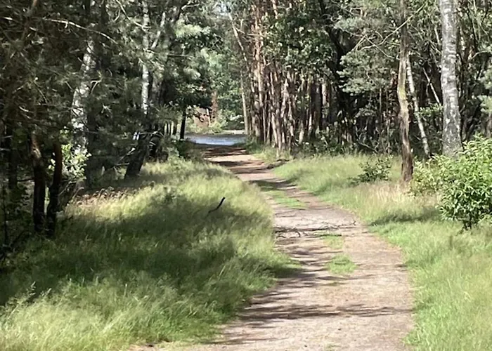 Spacious In Voorhuizen With Terrace 度假居 福尔特赫伊曾