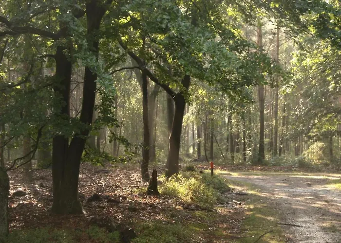 Spacious In Voorhuizen With Terrace 度假居 福尔特赫伊曾