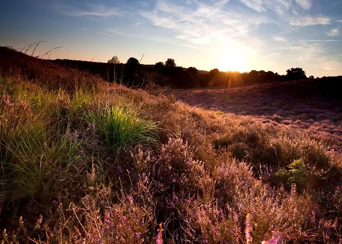 Spacious In Voorhuizen With Terrace 度假居 福尔特赫伊曾